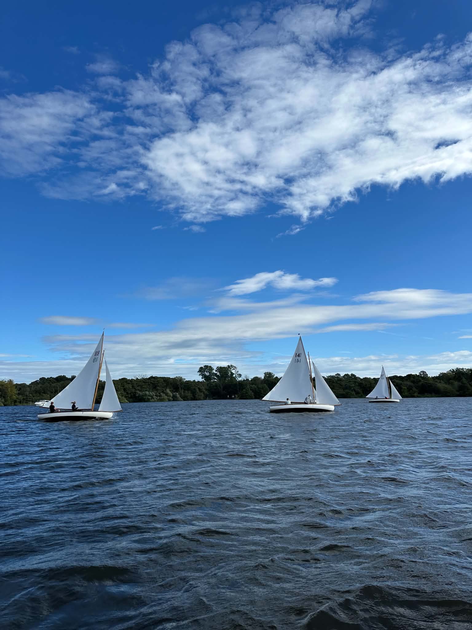 YBODs racing upwind